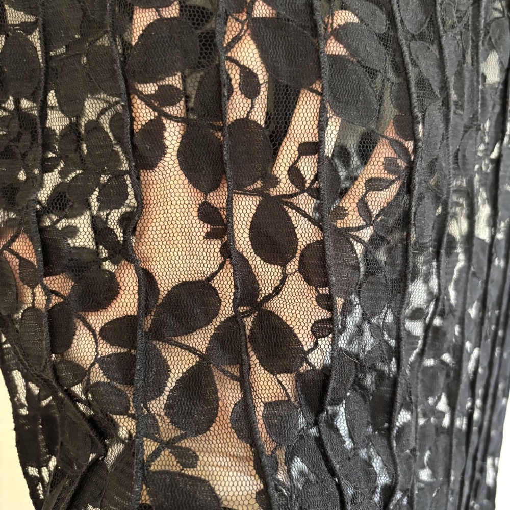 Teri Jon Dress LACE OVERLAY ONLY Womens 14 Black Witchy Whimsigoth Ricky Freeman - Picture 9 of 12